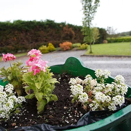 Bed and Breakfast Dun Cromain Banagher
