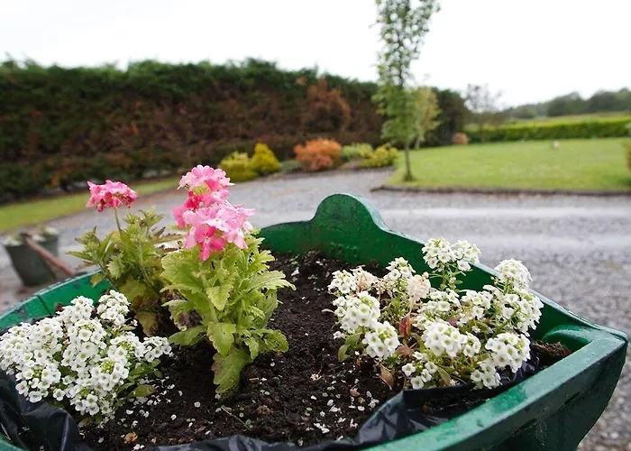 Bed & Breakfast Dun Cromain Banagher